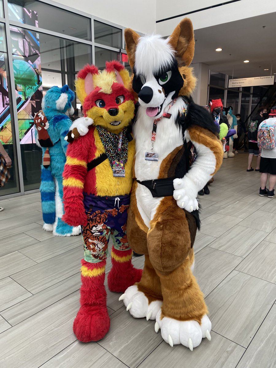 SkyFluffyDurski's tweet photo. Throw back to me and @Flamewuff at #TFF22!! I hope I can see you again and take more suit photos!! ❤️💛 https://t.co/AVBppmNgLn