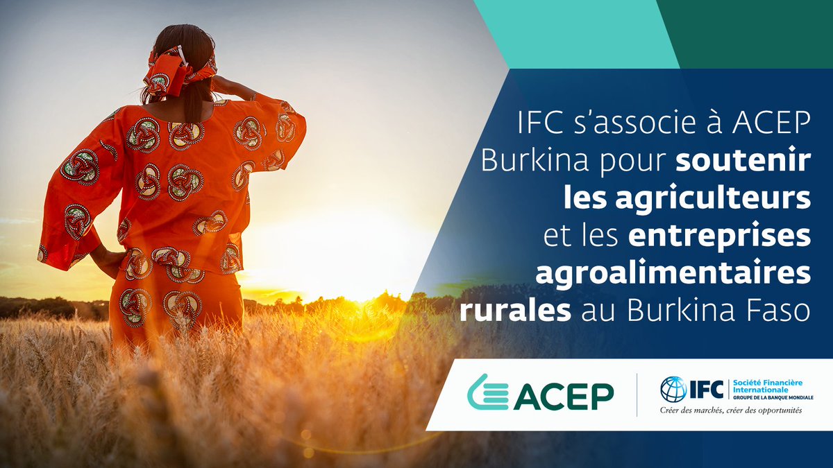 IFC Africa tweet media