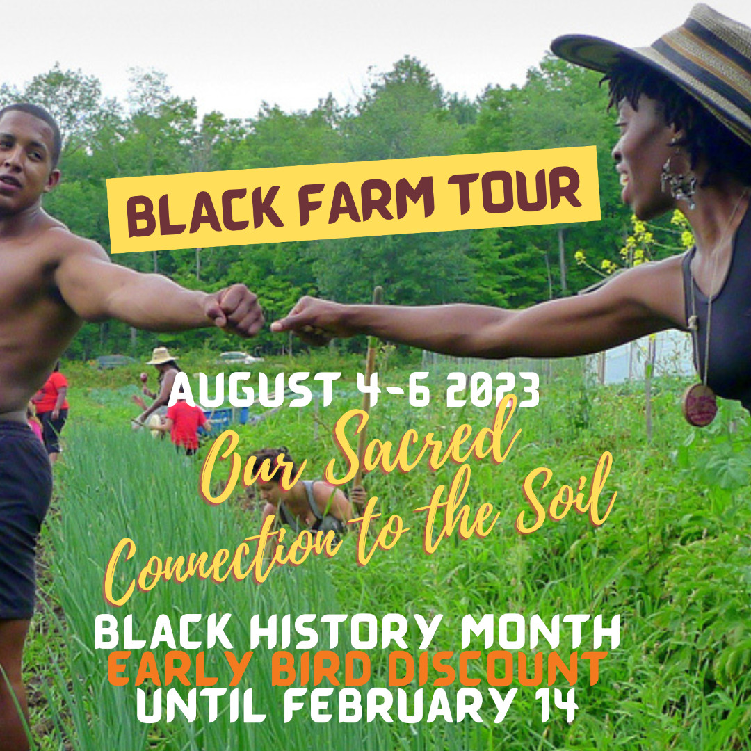trianglebikes's tweet photo. Happy Black History Month!
We're opening registrations for this year's Black Farm Tour in honor of our love for Black History.  Join us to support the teens of Triangle Bikeworks as we come together to celebrate our roots and our culture.

https://t.co/VC737n85PK https://t.co/pMTED9cj37