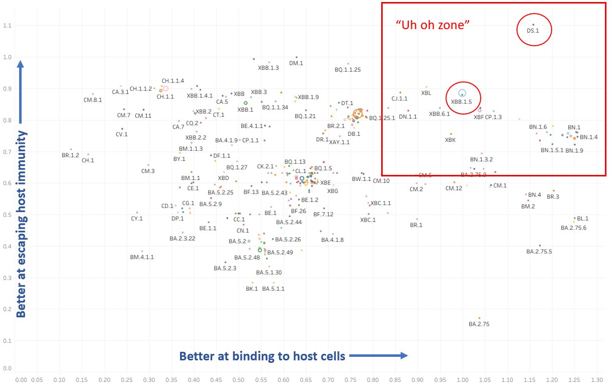 Graph plotting immune escape (y-axis) versus ACE binding (x-axis). Variants in the top right of this figure (the "uh oh zone") are good at both evading immunity and binding to host cells. XBB.1.5 is well in that zone, but DS.1 stands alone at the top right.
