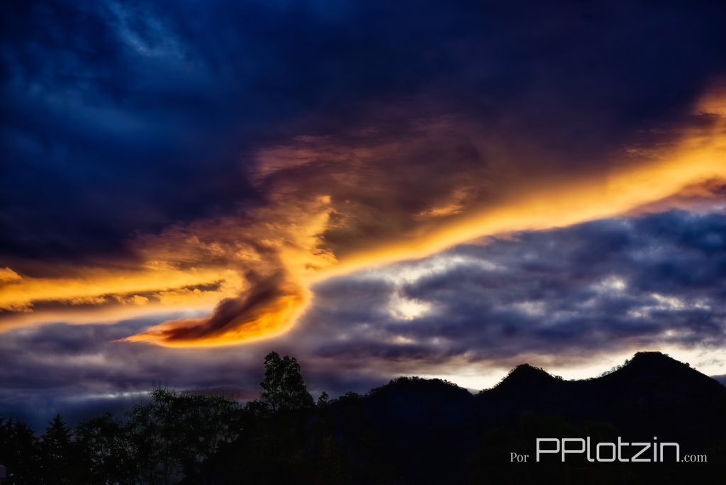 Malinalco Net tweet media