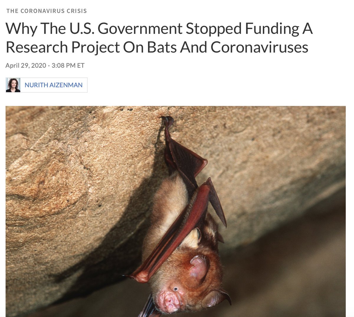 emilyakopp's tweet image. When an EcoHealth Alliance grant was suspended in April 2020, there was an avalanche of sympathetic stories.

Peter Daszak told NPR his work had come to a standstill.

But in a private email, Daszak said he'd continue the work. 

via @kccorin 

usrtk.org/covid-19-origi…