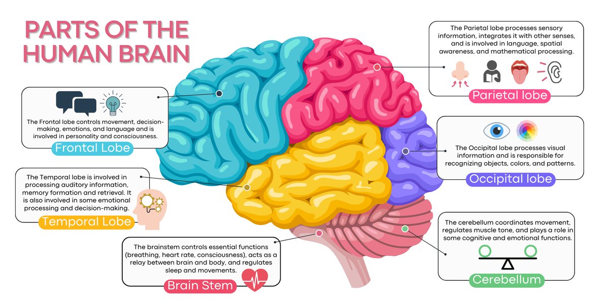 In Virtuo tweet media