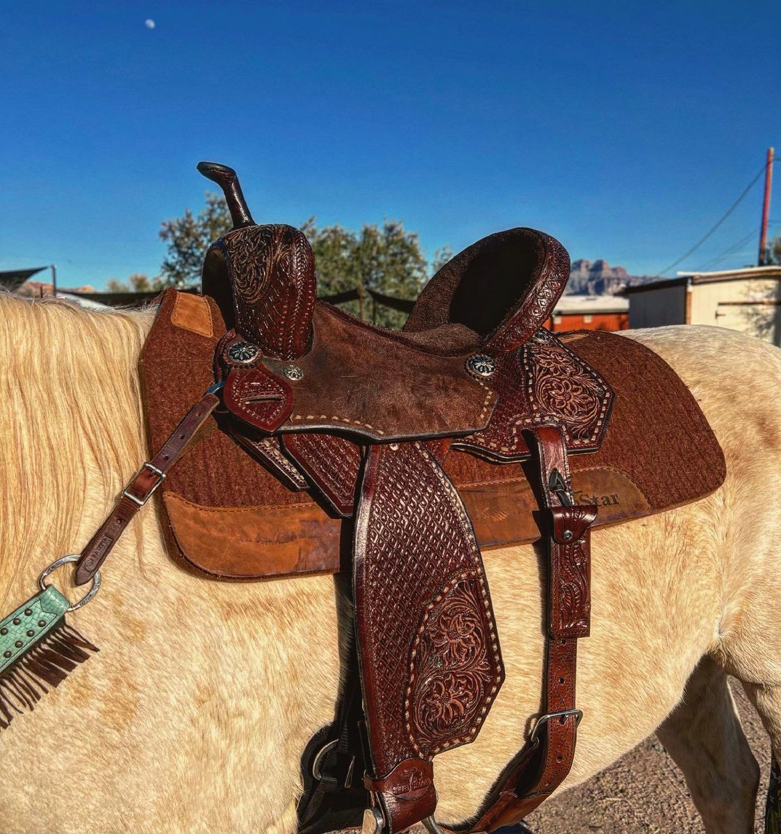 𝑨𝒎𝒊𝒂𝒉 tweet media