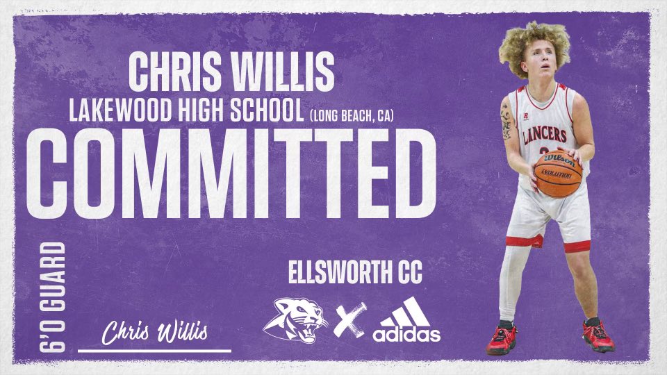 Chris Willis tweet media