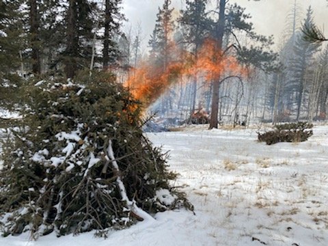 Pikes Peak Ranger District pile burning operation today (02/02/23) Rainbow Gulch Unit.  Forest Service Rd 306A, near the west end of Rampart Reservoir. 50-75 hand piles.  Smoke visible along US-24 corridor, from Woodland Park to Colorado Springs.