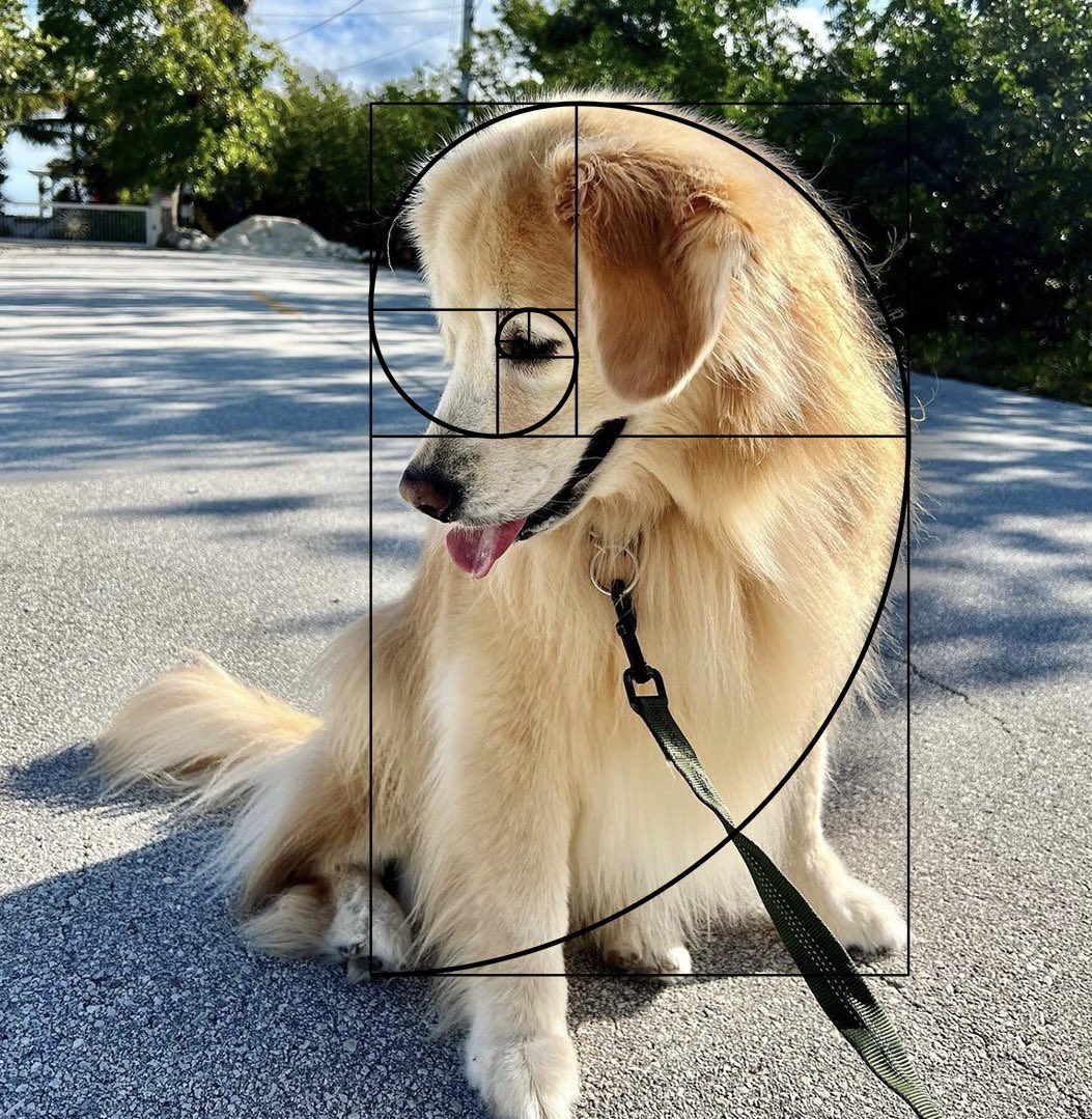 ChaosVenk's tweet photo. @jenrunswithdogs @TheGoldenRatio4 VENK!!!! 
Ultra runner and natural mathematician? GRMom is SO COOL 🤩 https://t.co/cuS7aVE1JB