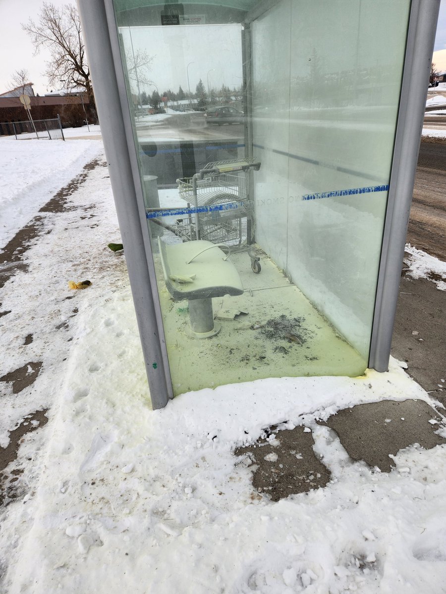 KiraArtist's tweet photo. @calgarytransit bus stop 7597 Route 6 is a mess! It has a cart in it &amp; a bike that's missing a tire, and it looks like someone had a fire going in it overnight. The inside of the shelter is covered in this yellow powder or snow or something... and dog poop bags around it...🙃 https://t.co/RRrxfZ8k4f