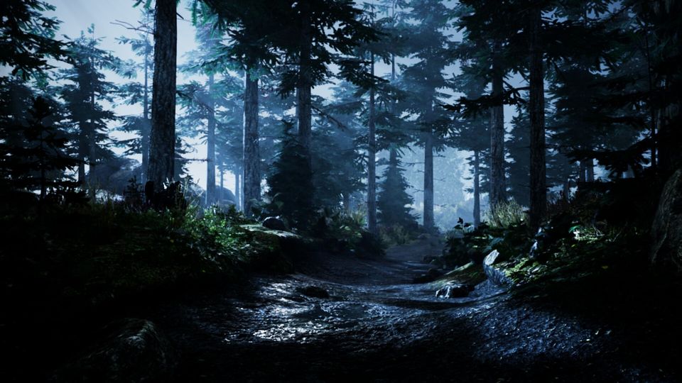 *In the night, the young Kion Prime walk alone in the forest, he looks around by keeping the swords in his servos, he worried and monitors*