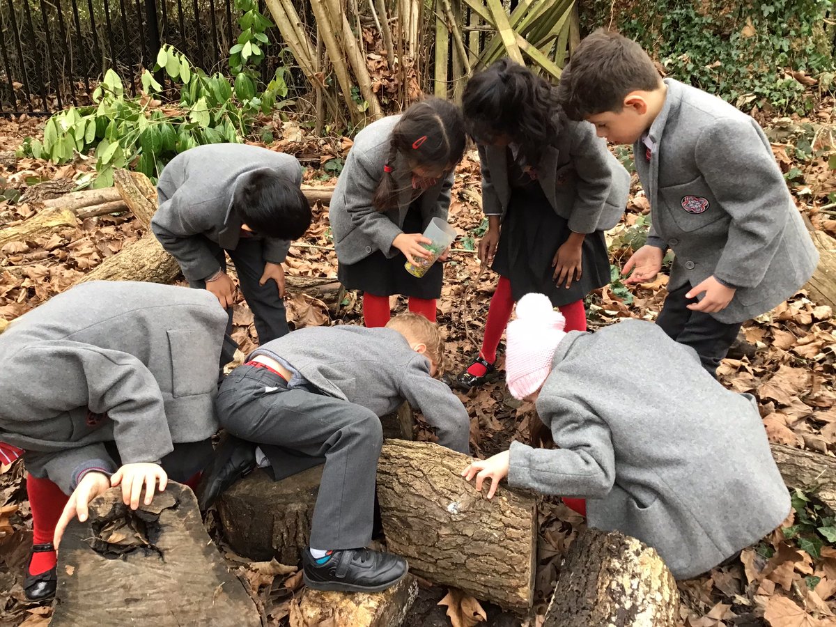 BGS_LowerSch's tweet photo. Last week, Year 2 learnt about micro-habitats and mini beasts and today we made a wormery for our classroom. We worked together to find worms, leaves and stones! #BGS_Science #BGS_Year2 #muddyfingers https://t.co/oFHH26G0Z7