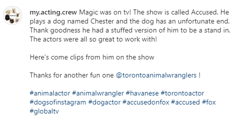 BilsonOnline's tweet photo. (@ my.acting.crew) via Instagram
#RachelBilson #TakeTwoABC #SamSwift #HartofDixie #ZoeHart #TheOC #SummerRoberts #AccusedonFox #ReidMiller #AugustMaturo https://t.co/mQWAqkMBYy