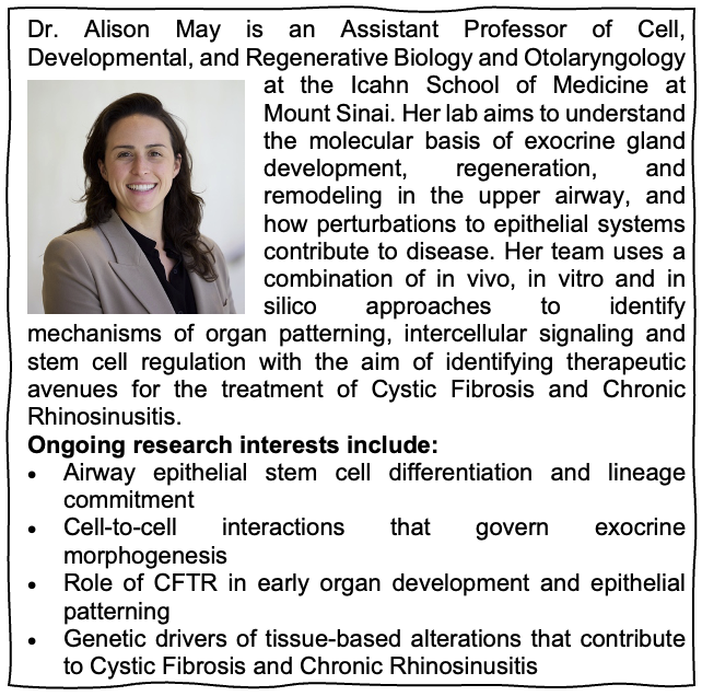 SBDRCatMtSinai's tweet image. Our February #FacultyHighlight is Dr. Alison May (@MayLabNYC). She established her lab last year @IcahnMountSinai and is an internal member of @SBDRCatMtSinai. The May lab is actively recruiting graduate students and postdocs - check them out!