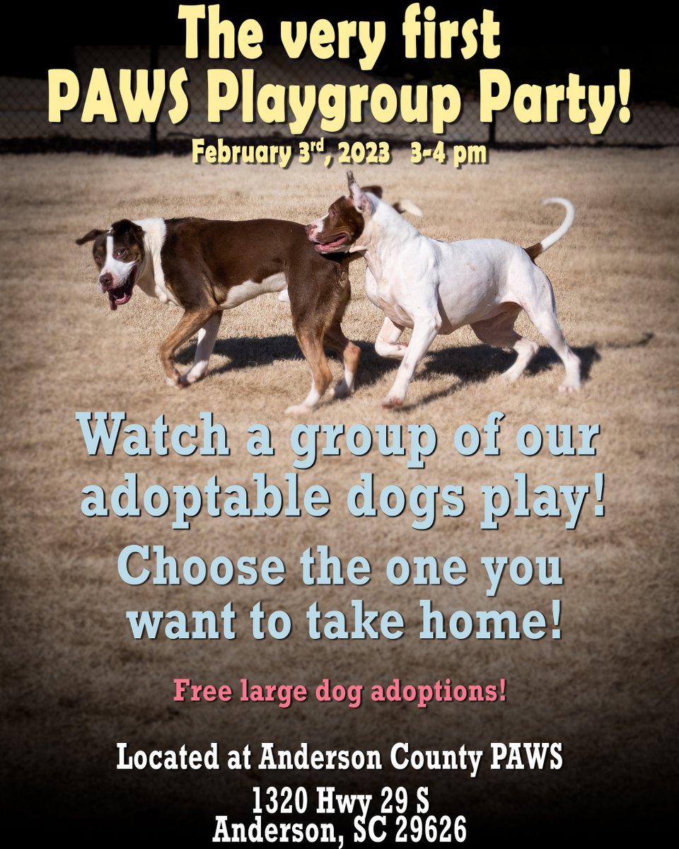 Anderson County PAWS on Twitter: Anderson County PAWS on Twitter: