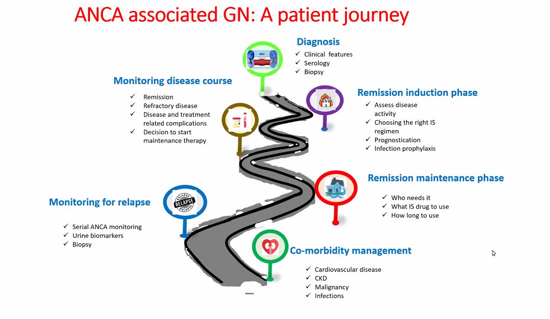 Nefrontera's tweet photo. Today at @GlomCon Fellowship we are having a really nice session about ANCA associated GN, with Dr. @DuvuruG.

She remind us that is more than a diagnosis, it's a complete journey for the patient including different aspects! https://t.co/yEm39MLdzx