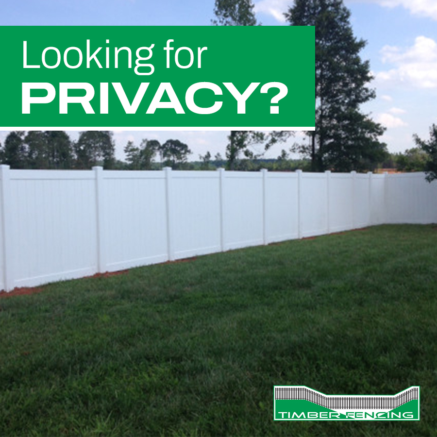 timberfencingcl's tweet photo. Privacy fences mean you can enjoy a private retreat on your property. We have a variety of wood options with quality materials that will last. Whether you are looking for installation or repair, chat with our team today about privacy fences: https://t.co/79NQdGIJ64 https://t.co/hm5tcylQIJ