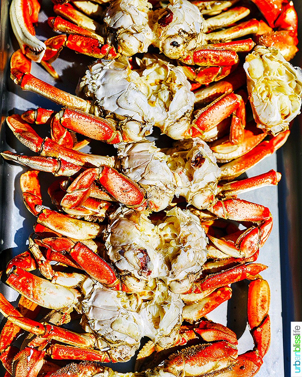 Dungeness crab season is here in the PNW! 🦀

Check out our latest cooking guide: HOW TO COOK AND CLEAN DUNGENESS CRAB ➡️ urbanblisslife.com/how-to-cook-du…

#dungenesscrab #crab #crabseason #howtocook #cookingguide #foodblogger