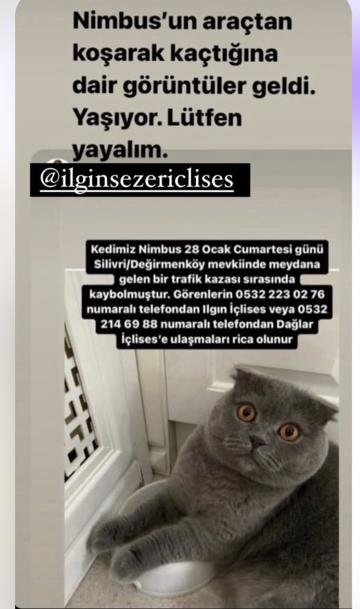 Arkadaşlar rt yapabilirmiyiz ?