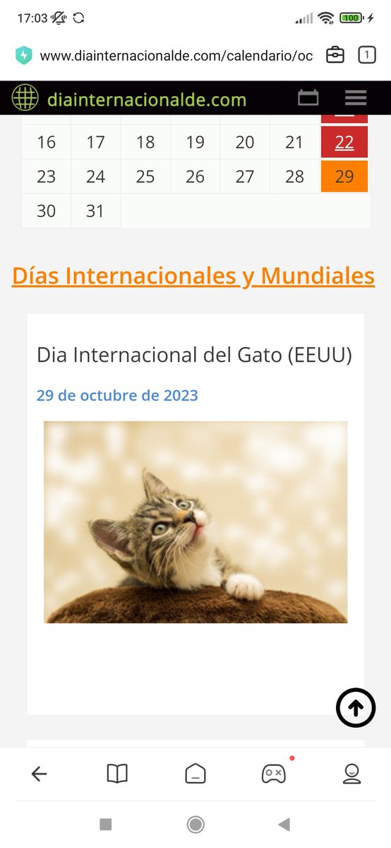 karin Barbeta tweet media