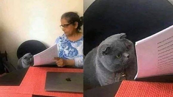 — ¿Cual es el mejor regalo que pueda existir?
— Salud 
— ¿Y porque pusiste hacerte un piercing?