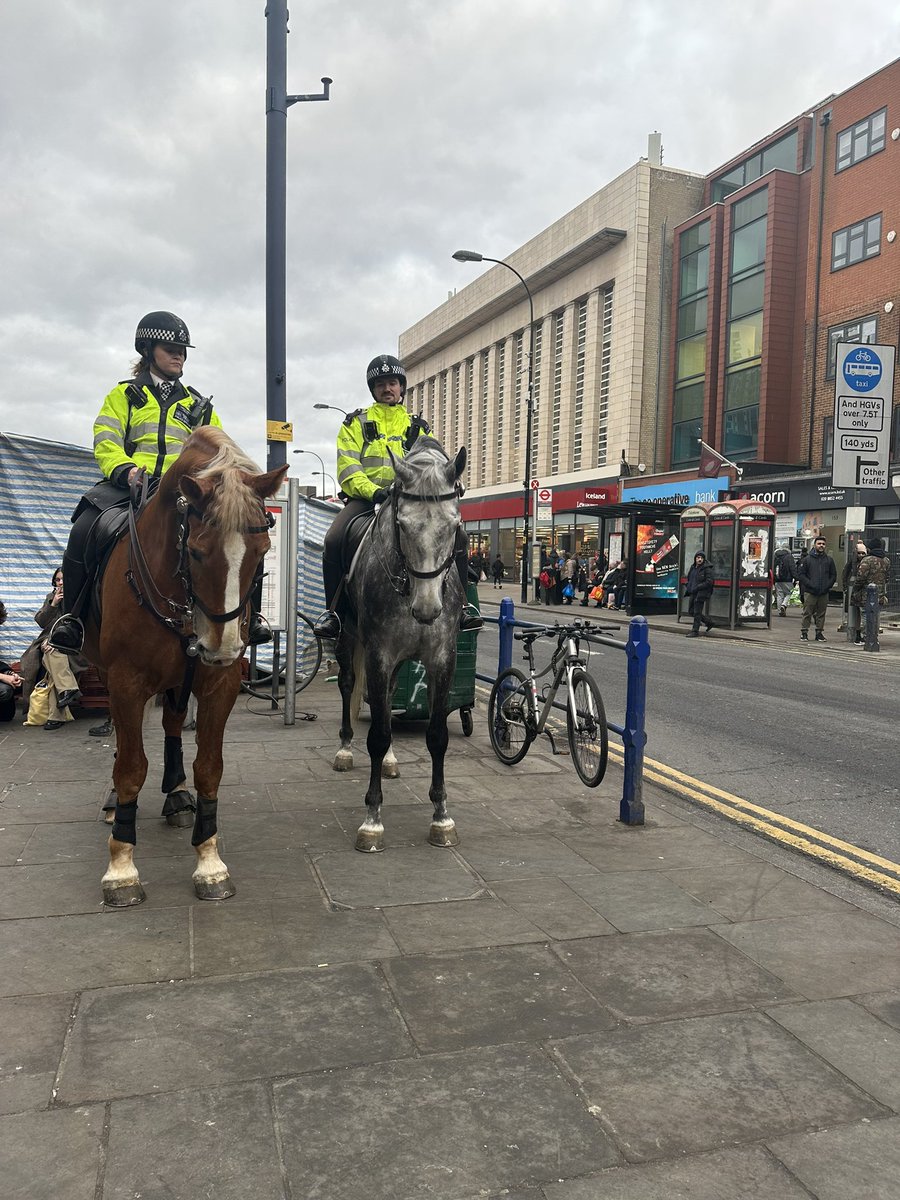 Very welcome guests today on our High Street 🤩 Keeping Lewisham safe one gaits at the time 🌟 <a href="/MPSLewishamTC/">Lewisham Town Centre</a> <a href="/MPSLewisham/">Lewisham MPS</a>