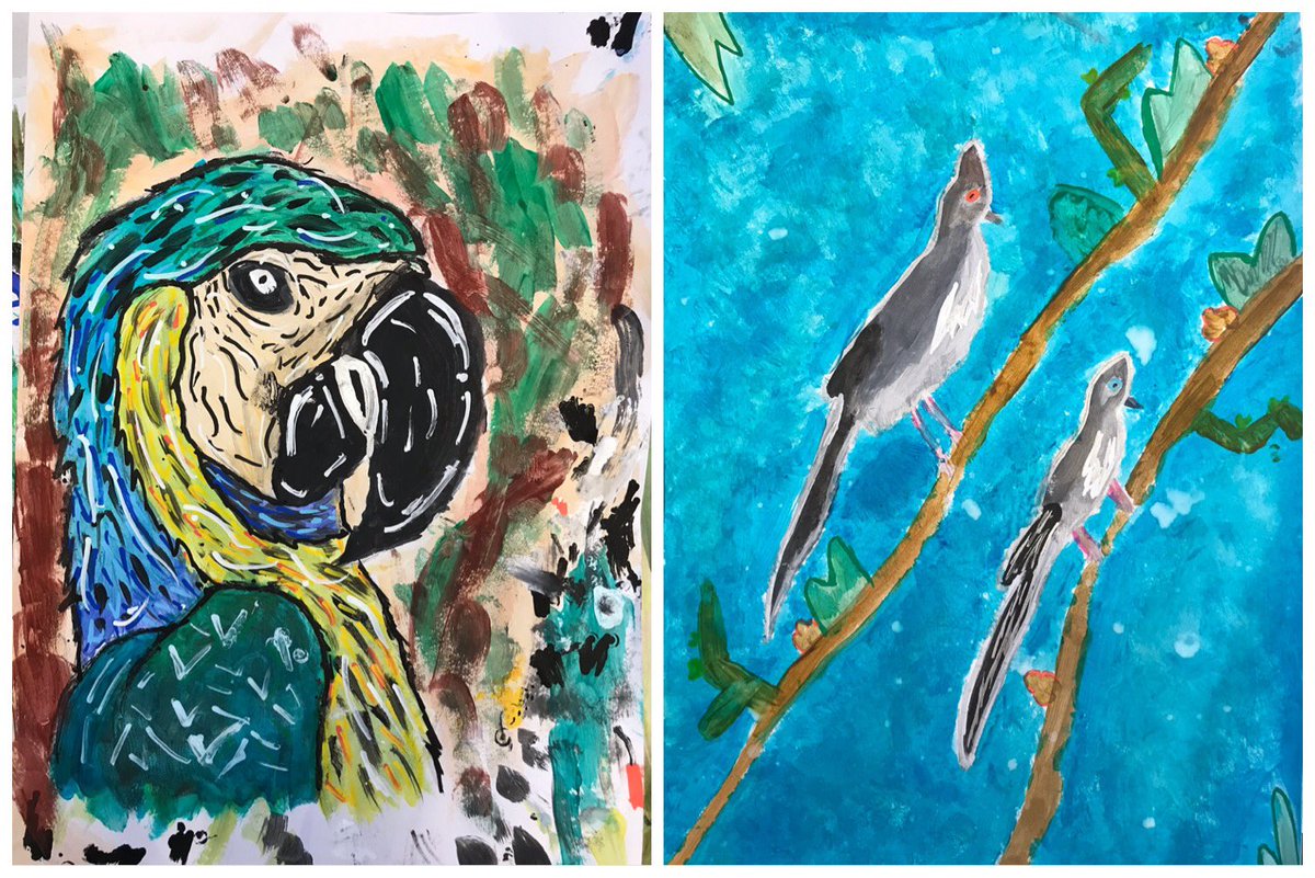 GomersalArt's tweet photo. Y5 have been working on these Amazon Rainforest birds. We thought carefully about composition, background, colour mixing, brushstrokes, mark making &amp; the type of paint we used. We’ll work in our sketchbooks next week to consider the process &amp; evaluate the experience and outcome. https://t.co/QrdWlz7JnH