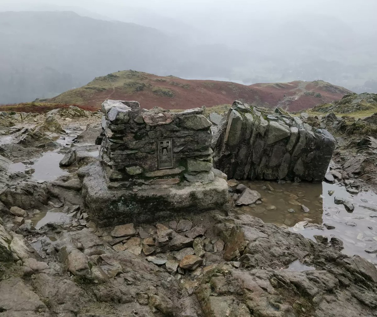 Jim Tyson tweet media