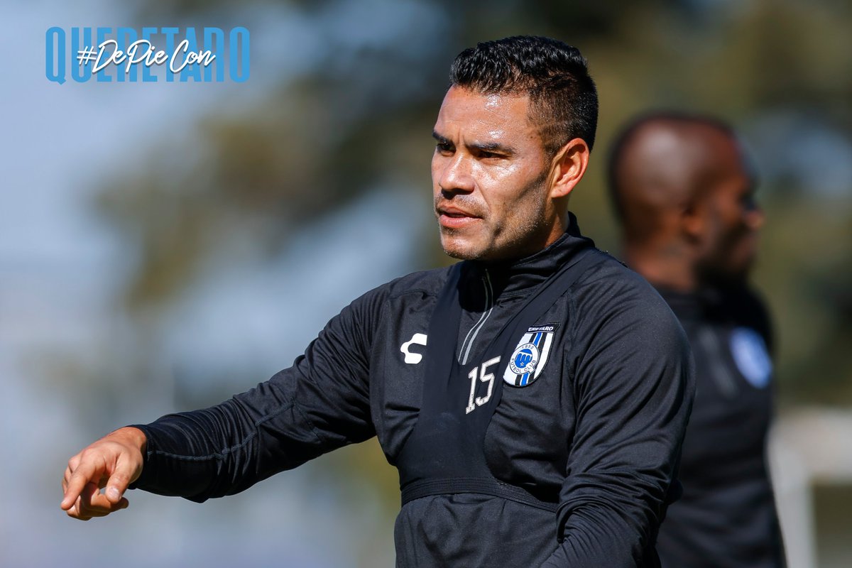 Gallos Blancos 🐓 tweet media