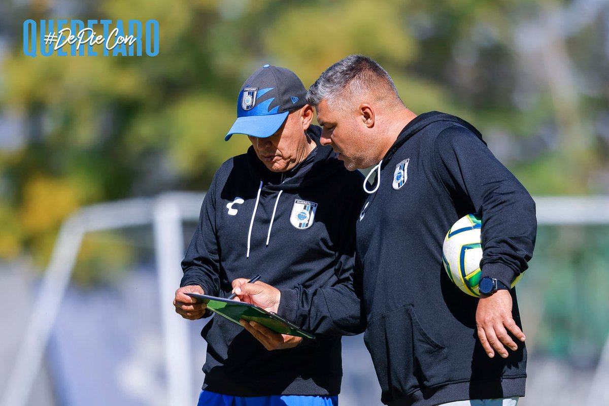 Gallos Blancos 🐓 tweet media