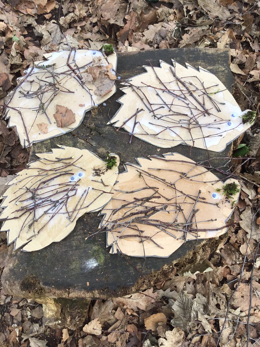 Marist_Outdoors's tweet image. At Forest fun today we celebrated national hedgehog day #MaristOutdoorLearning #ForestFun #HedgehogDay