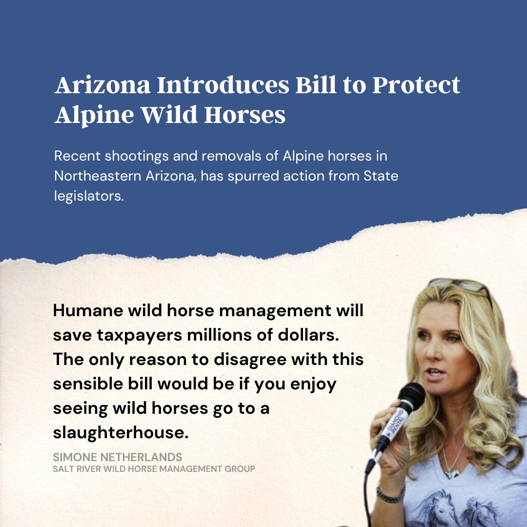 We applaud a new bill, S.B. 1057 sponsored by Senator John Kavanagh, to protect the Alpine wild horse herd in Arizona! Huge shoutout to our friends at the <a href="/srwhmg/">Salt River Wild Horse Management Group</a> for making this happen.

Read More: bit.ly/3Ru59zN