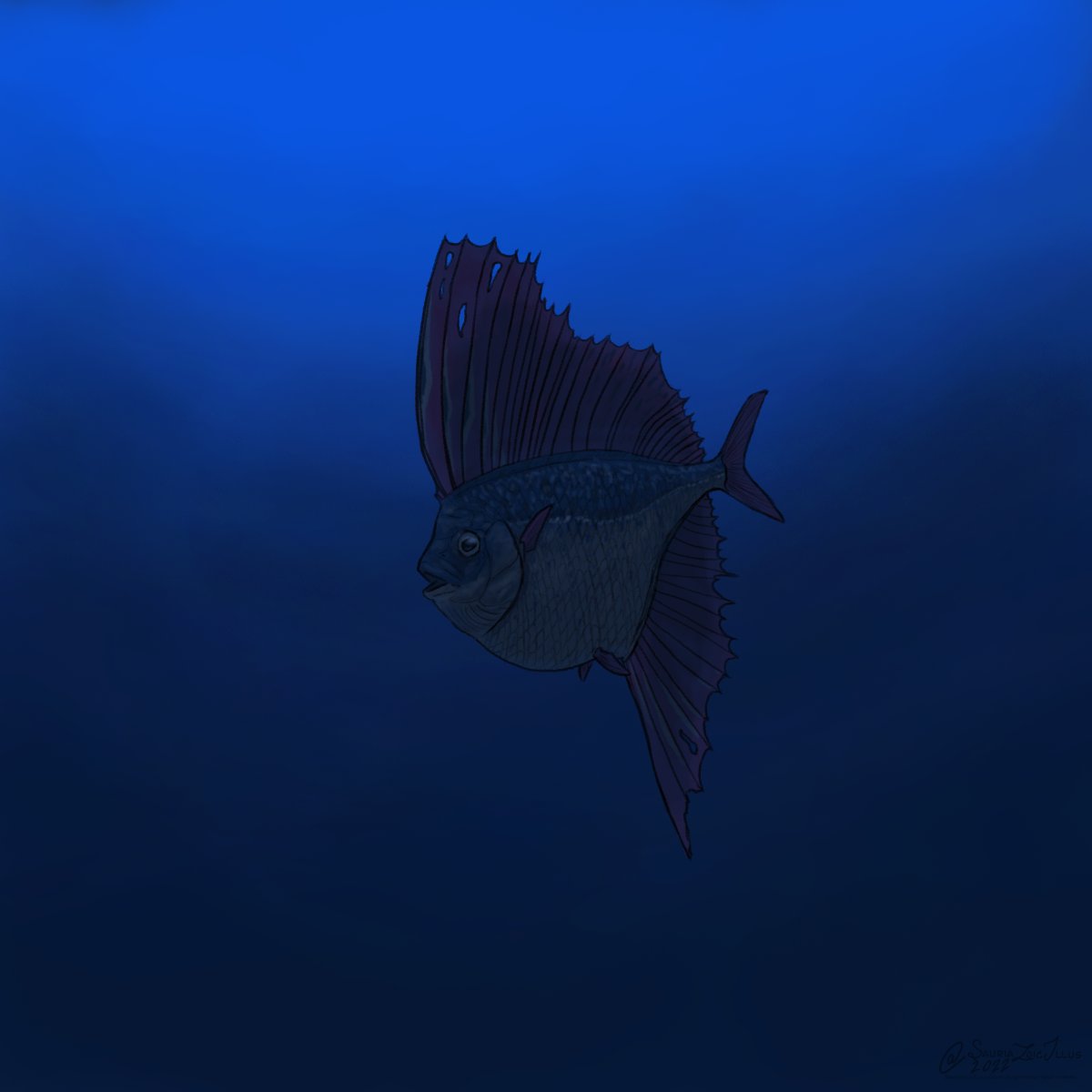 a lone Tselfatia swims at a depth of around 500 metres, not another animal in sight.
#sciart #scicomm #Science #paleoart #fish