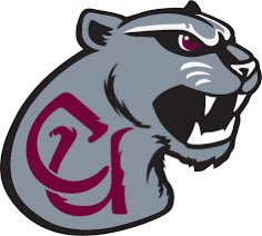 Thankful to receive my first D2 opportunity from concord university! I’ll also be visiting on the 18th! @bhernyscoutguy @Coach_McIntyre @JonathanMohr12 @Coach_RivWalker