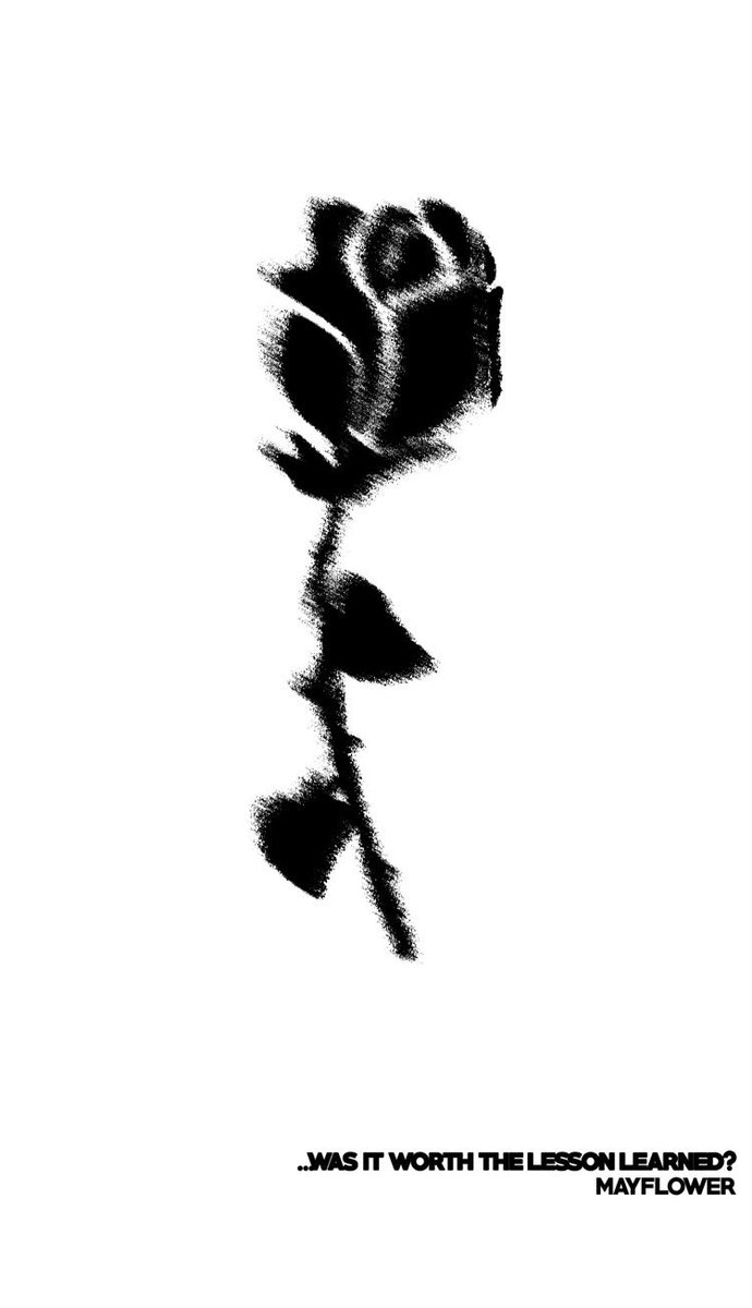 Mayflower. Out 2/24.