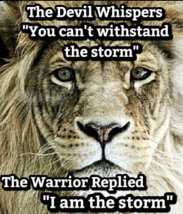 Danny Lewis (@dannylew1956) on Twitter photo ๐ฆ๐ฆ๐ฆAdding ๐ฆ๐ฆ๐ฆ
<a href="/SouthernCharm2a/">Bless Your Heart/LOCKED=BLOCKED</a>
<a href="/STARR1210/">Independent Thinker ๐บ๐ธ๐บ๐ธ๐บ๐ธ๐บ๐ธ๐บ๐ธ</a>
<a href="/JohnMatelic/">JohnMatelic</a>
<a href="/HollyMaclane/">Holly Maclane</a>
<a href="/Spiritof76Yank1/">Maverick 1776</a>
<a href="/AceAce21021/">Ace</a>
<a href="/Schmidtster_17/">๐บ๐ฒ๐ฅSchmidtster_17๐ฅ๐บ๐ฒ</a>
<a href="/FrankSchrammJAX/">Frank Schramm</a>
<a href="/HillbillySheila/">Hillbilly๐ฆHeaven</a>
<a href="/PurgeRebel/">GrannyLovesAmerica</a>
<a href="/OVRTGO/">WoodyWoodpeckerOtto</a>
<a href="/RayBerger15/">RayB- 2A</a>
<a href="/JackassDave02/">Jackass Preacher Dave2</a>
#MrAmericaAF ๐ฆ๐ฆ๐ฆAdding ๐ฆ๐ฆ๐ฆ
<a href="/SouthernCharm2a/">Bless Your Heart/LOCKED=BLOCKED</a>
<a href="/STARR1210/">Independent Thinker ๐บ๐ธ๐บ๐ธ๐บ๐ธ๐บ๐ธ๐บ๐ธ</a>
<a href="/JohnMatelic/">JohnMatelic</a>
<a href="/HollyMaclane/">Holly Maclane</a>
<a href="/Spiritof76Yank1/">Maverick 1776</a>
<a href="/AceAce21021/">Ace</a>
<a href="/Schmidtster_17/">๐บ๐ฒ๐ฅSchmidtster_17๐ฅ๐บ๐ฒ</a>
<a href="/FrankSchrammJAX/">Frank Schramm</a>
<a href="/HillbillySheila/">Hillbilly๐ฆHeaven</a>
<a href="/PurgeRebel/">GrannyLovesAmerica</a>
<a href="/OVRTGO/">WoodyWoodpeckerOtto</a>
<a href="/RayBerger15/">RayB- 2A</a>
<a href="/JackassDave02/">Jackass Preacher Dave2</a>
#MrAmericaAF