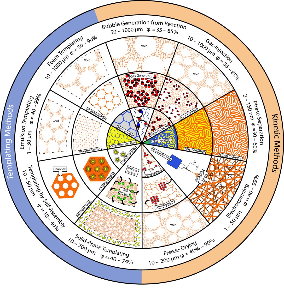 Reza_Foudazi's tweet image. Invited Feature Article @ACS_Langmuir describes future directions to develop physical-property models and production methods (kinetic &amp;amp; templating) of #porous #hydrogels, having physical pores besides the space between adjacent cross-links in the network:
doi.org/10.1021/acs.la…
