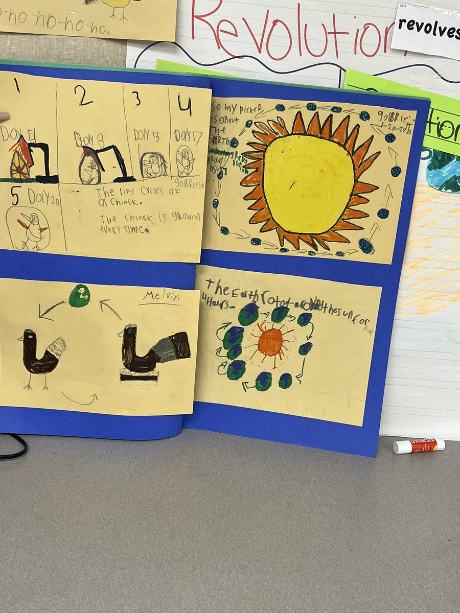 JasmineHaverly2's tweet photo. My students are using the Class Cycle Encyclopedia to help them compare and contrast different cycles they learned. https://t.co/IUgISuduoG