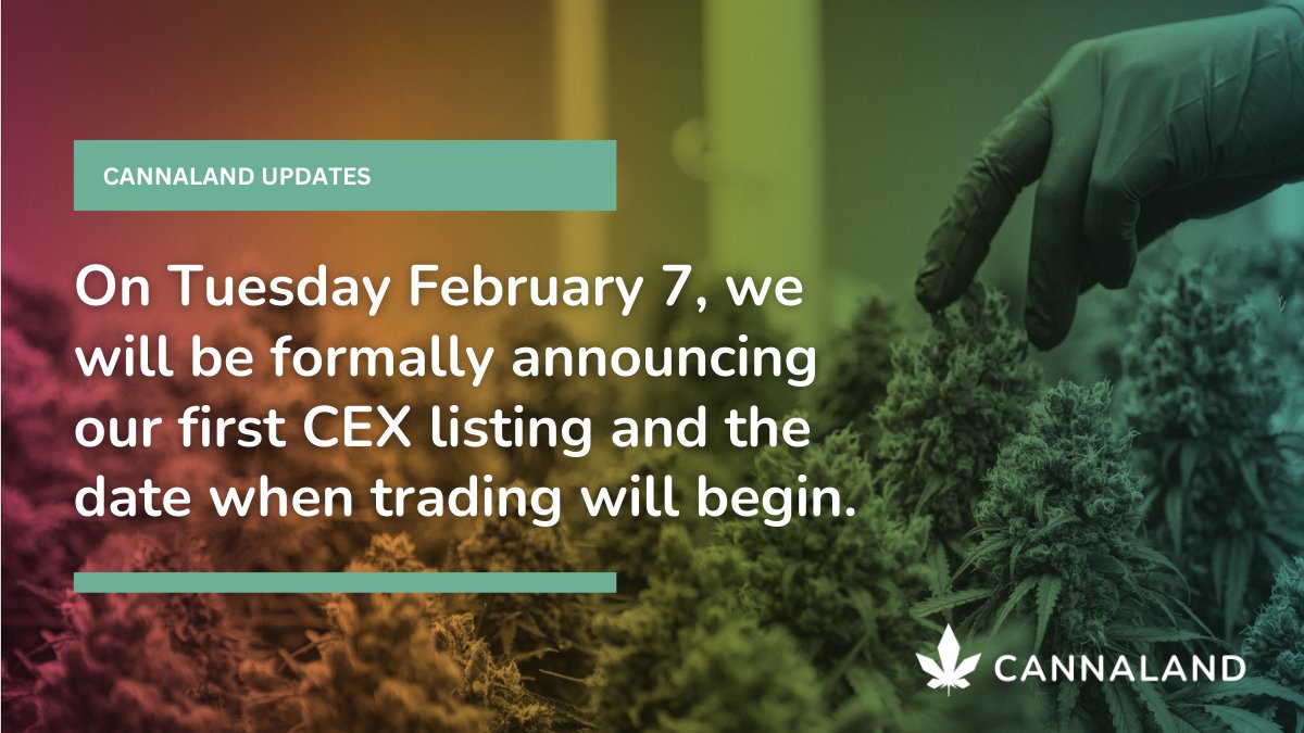 TheCannaland's tweet photo. (1/3) The Cannaland team and @CannaVerseTech would like to thank its community and token holders for their amazing support during the CNLT soft launch on @Uniswap.
The team is committed to their roadmap and timeline, and ready to take several exciting next steps. ๐ https://t.co/twnx5Kt5uJ