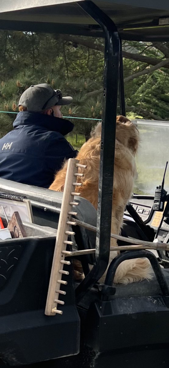 🐶❤️⛳️too!
I can’t wait to see him doing maintance work!!!🤣
⁦<a href="/BrianGayPGA/">Brian Gay</a>⁩ ⁦<a href="/attproam/">AT&T Pebble Beach Pro-Am</a>⁩ ⁦<a href="/PGATOUR/">PGA TOUR</a>⁩