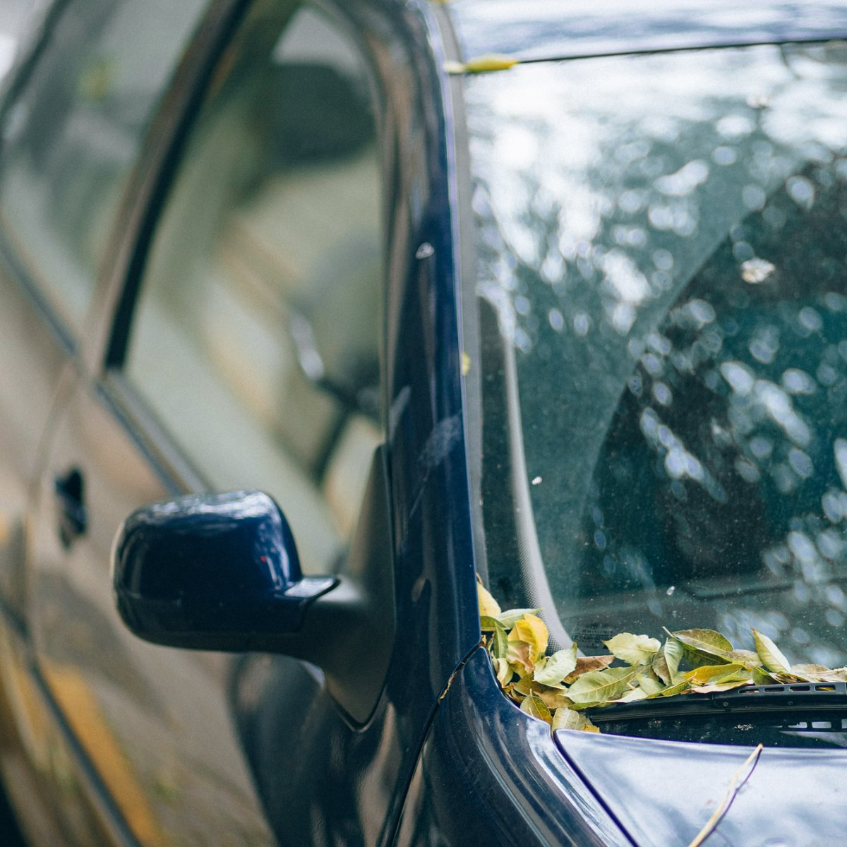 ABAutoBody's tweet photo. Last-minute road trip? Your windshield-washer fluid is the best solution for removing bugs, bird droppings, grime, and everything else that collects on your vehicle. Be sure to have it checked before hitting the road. https://t.co/OhjUe14ym2