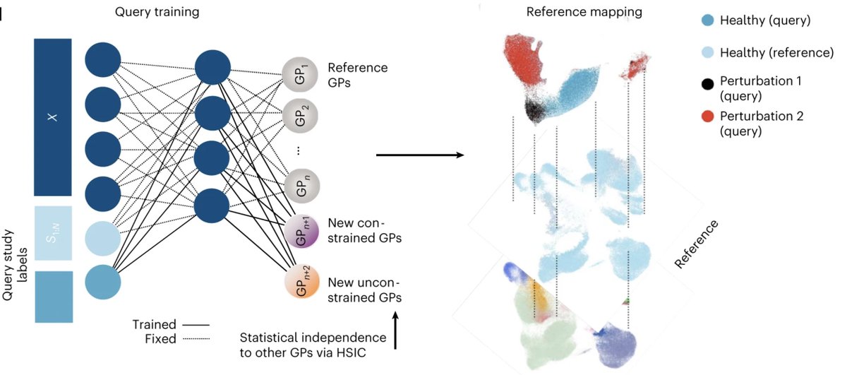 Excited to finally see ExpiMap out <a href="/NatureCellBio/">Nature Cell Biology</a> - led by @Mohlotf &amp; Sergei Rybakov, we inform single-cell embeddings by pathway priors (+ newly-learnt ones). This allows for biologically understandable components in the latent space and program queries. nature.com/articles/s4155…