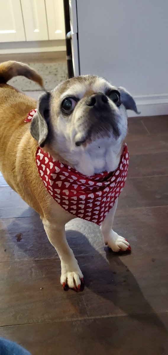 spoingus (ㆁωㆁ) tweet media