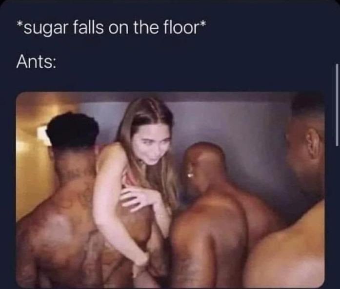 Fn-a1AWWYAAQm8L?format=jpg&name=900x900