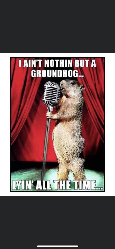 Connie Berger (@c_berger29) on Twitter photo 