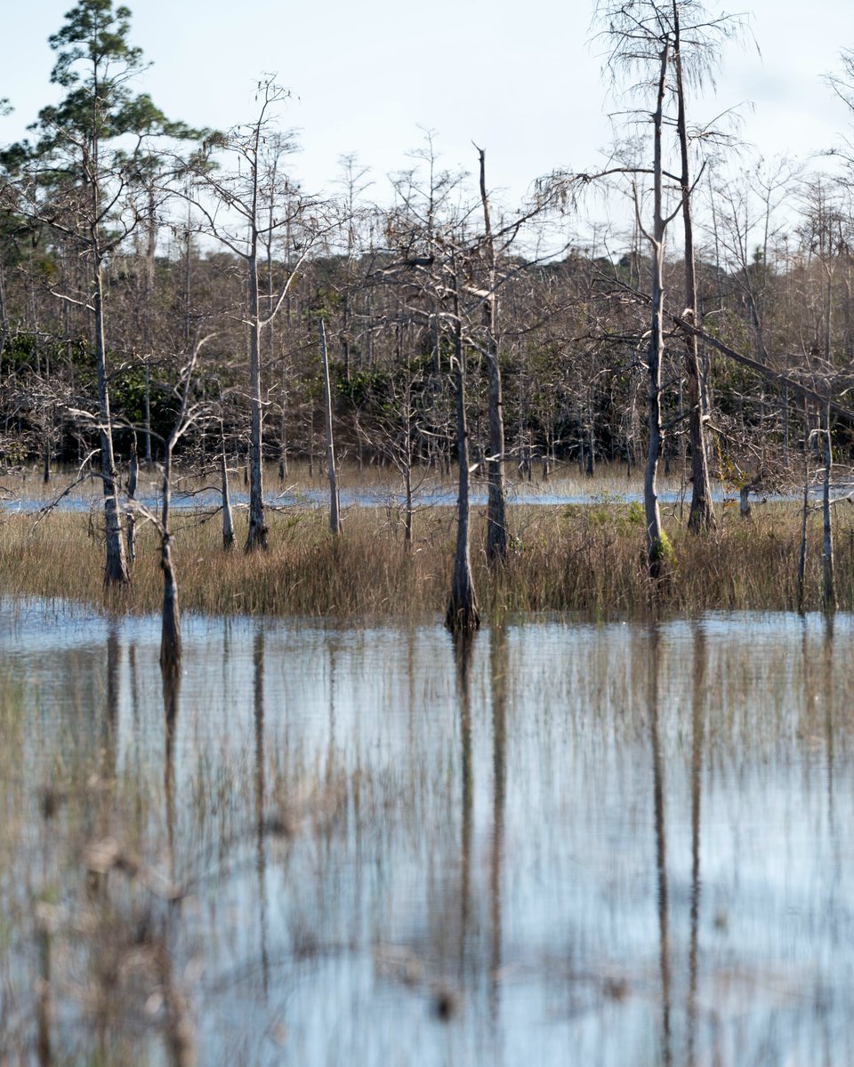 Friends of the Everglades tweet media