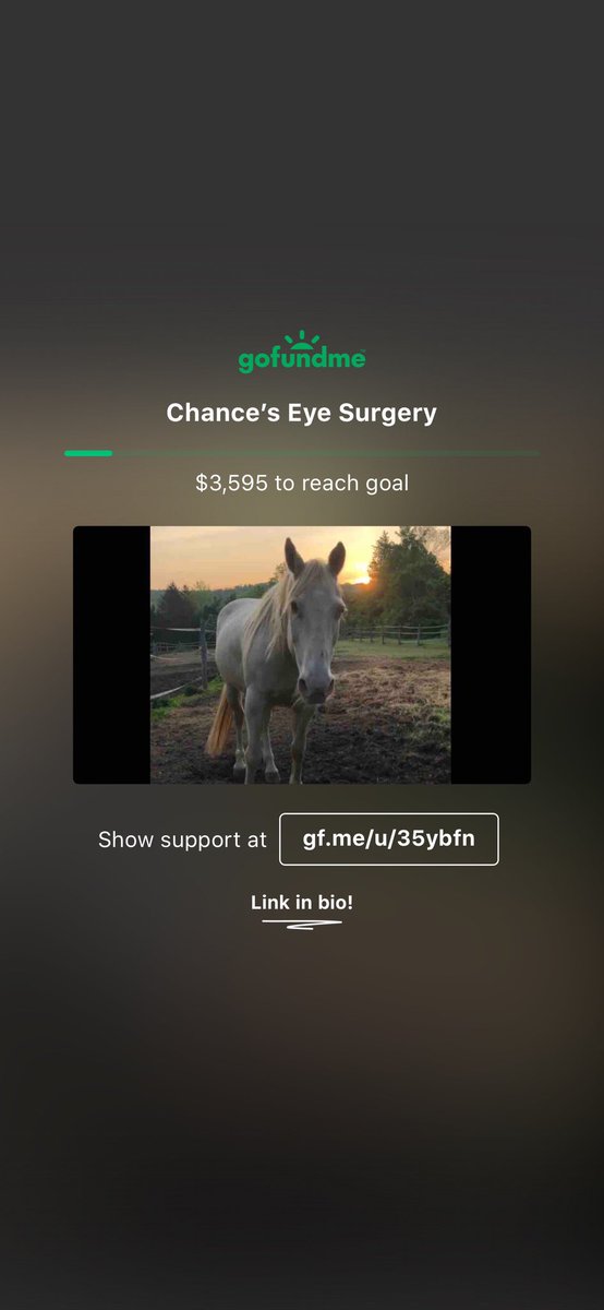 tweet_caekk's tweet photo. Hey @gofundme anyway you can help me and my horse out and share our link? https://t.co/ogidLvvZiz https://t.co/TTfoMODcKQ