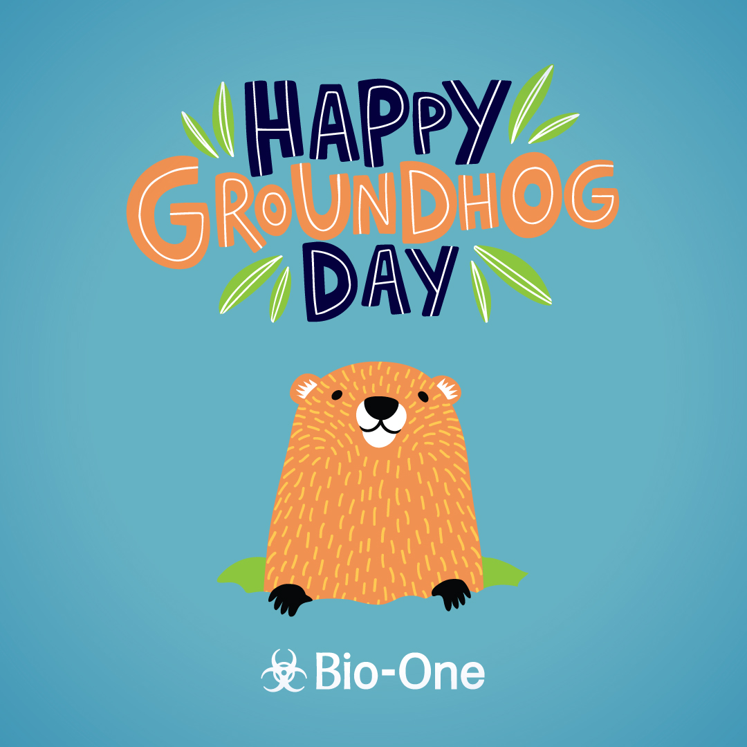 BioOneOrange's tweet image. It's Groundhog Day! Will Punxsutawney Phil see his shadow? He'll let us know soon enough! Celebrate the special day with friends, family, and lots of excitement! 😎

#bioone #orange #groundhogday2023