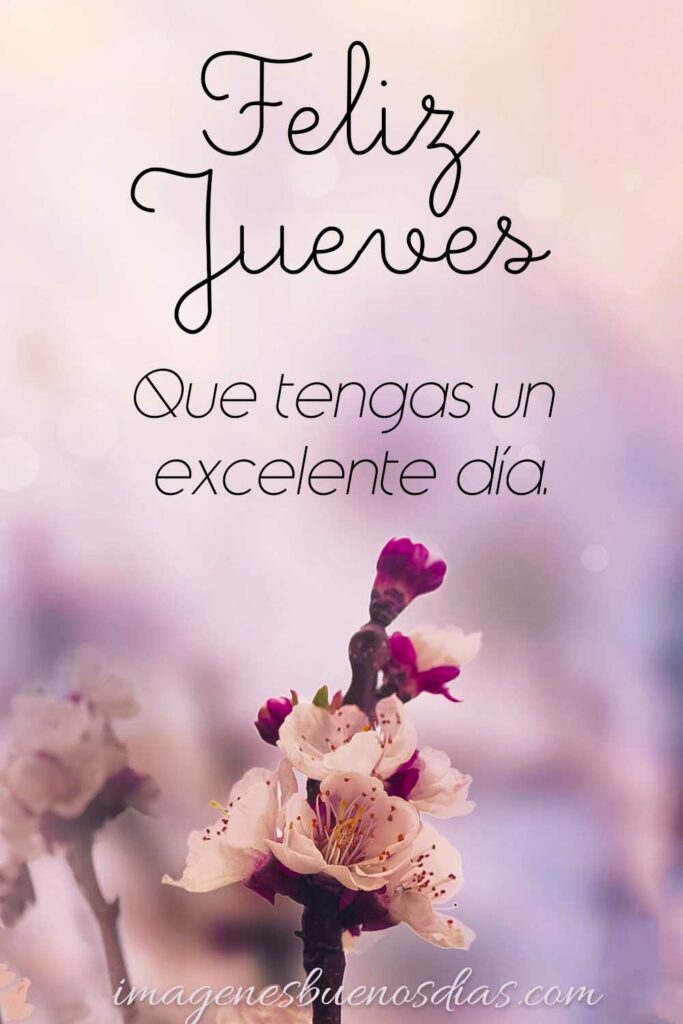 Excelente día