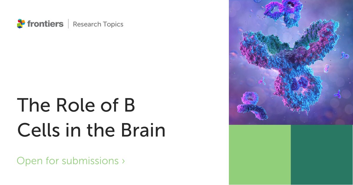 FrontNeurosci's tweet image. 🚨New Research Topic🚨

We are excited to announce a new Research Topic on: The Role of B Cells in the Brain

Led by Drs. Olga Rojas (@OlgaLRojas2) and Anne-Katrin Pröbstel (@akproebstel)

📅 Deadline 24 Sept 2023
Learn more here 👉fro.ntiers.in/MXR7

#cellularneuroscience