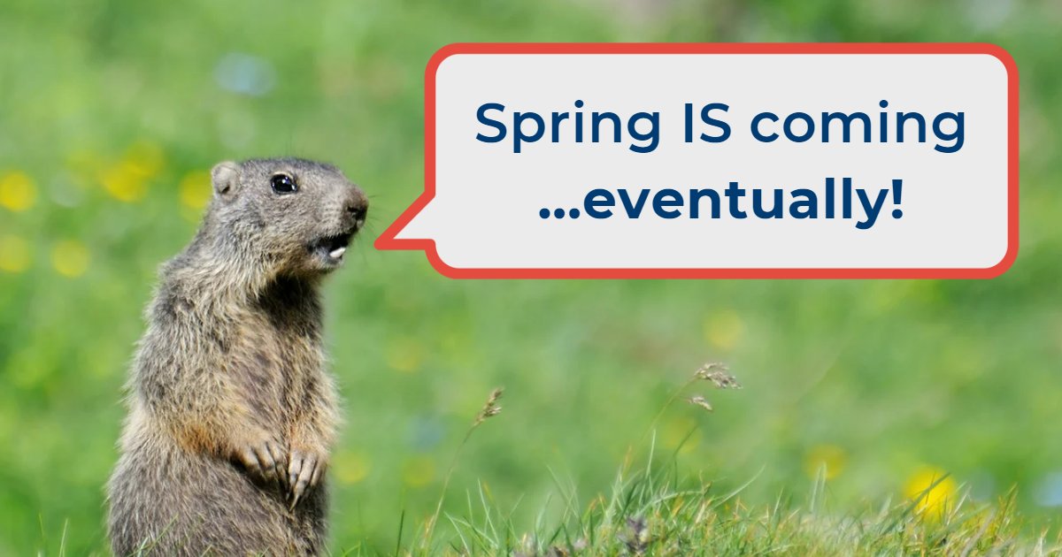 Happy Groundhog Day! No matter what Punxsutawney Phil says, we know spring is on the horizon! What are you looking forward to this spring?