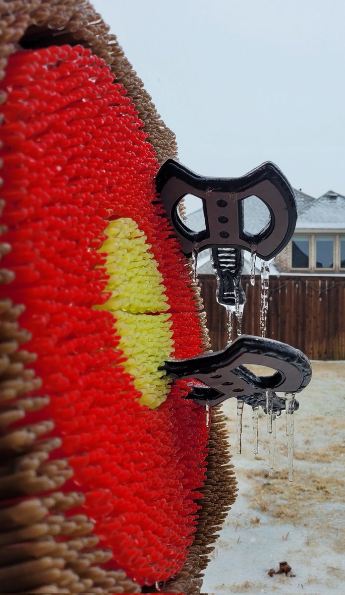 ManicBalaji's tweet photo. #SnowmeltingMagic #SnowDrip https://t.co/EvPqzYRYW7